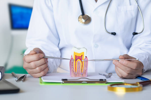 Best After-Hours Emergency Dentist in Anderson, SC